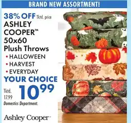 Boscov's ASHLEY COOPER 50x60 Plush Throws offer