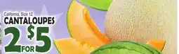 Bravo Supermarkets CANTALOUPES offer