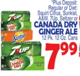 Bravo Supermarkets CANADA DRY GINGER ALE offer