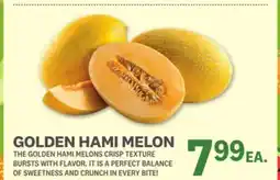 Kings Food Markets GOLDEN HAMI MELON offer