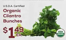 DeCicco & Sons Organic Cilantro Bunches offer