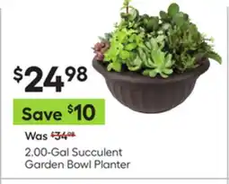 Lowe's 2.00-Gal Succulent Garden Bowl Planter offer