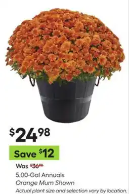Lowe's 5.00-Gal Annuals offer