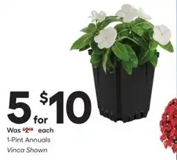 Lowe's 1-Pint Annuals offer