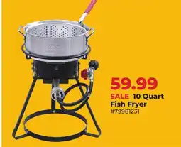 Runnings 10 Quart Fish Fryer offer