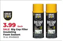 Runnings Big Gap Filler Insulating Foam Sealant offer