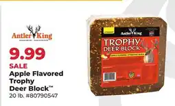 Runnings Apple Flavored Trophy Deer Block offer