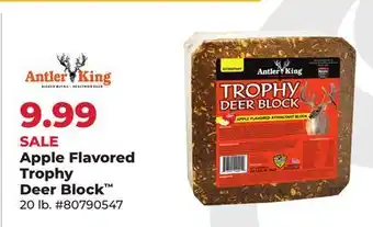 Runnings Apple Flavored Trophy Deer Block offer