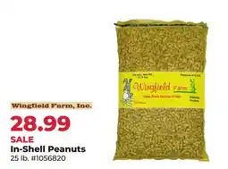 Runnings In-Shell Peanuts offer