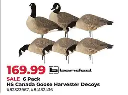 Runnings 6 Pack HS Canada Goose Harvester Decoys offer