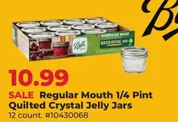 Runnings Regular Mouth 1/4 Pint Quilted Crystal Jelly Jars offer