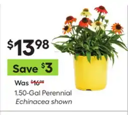 Lowe's 1.50-Gal Perennial offer