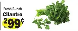 Sellers Bros Fresh Bunch Cilantro offer