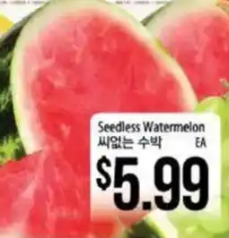Hmart Seedless Watermelon offer