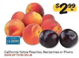 Winn Dixie California Yellow Peaches, Nectarines or Plums offer