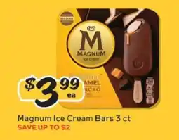 Winn Dixie Magnum Ice Cream Bars offer
