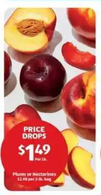 Aldi Plums or Nectarines offer