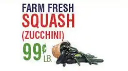 Circus Fruits FARM FRESH SQUASH (ZUCCHINI) offer