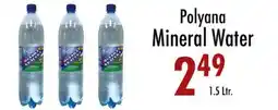 Garden Fresh Market Polyana Mineral Water offer