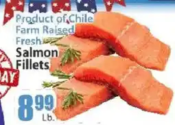 Food Universe Fresh Salmon Fillets offer