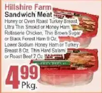 Food Universe Hillshire Farm Sandwich Meat offer
