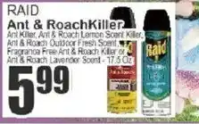 Food Universe Raid ant & roach killer offer