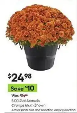 Lowe's 5.00-Gal Annuals Orange Munt Shown offer