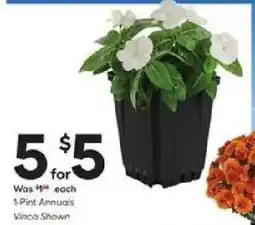 Lowe's Vinca Annuals offer