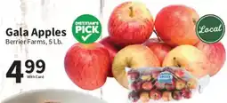 Food City Gala Apples Berrier Farms offer