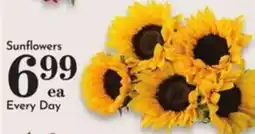Pavilions Sunflowers offer