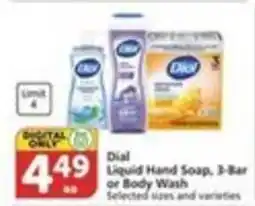 Pavilions Dial liquid hand soap or body wash offer