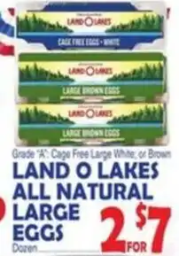 Bravo Supermarkets Land o lakes all natural large eggs offer