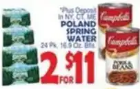 Bravo Supermarkets Poland spring water offer