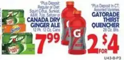 Bravo Supermarkets Gatorade thirst quencher offer