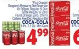 Bravo Supermarkets Coca-Cola offer