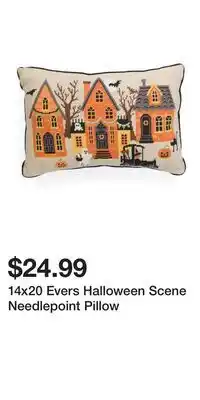 TJ Maxx 14x20 Evers Halloween Scene Needlepoint Pillow offer