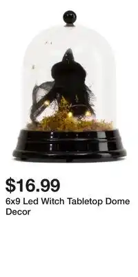 TJ Maxx 6x9 Led Witch Tabletop Dome Decor offer