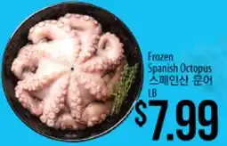Hmart Frozen Spanish Octopus offer
