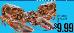 Hmart Live Lobster offer