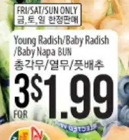Hmart Young Radish/Baby Radish /Baby Napa Bun offer