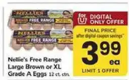 Safeway Nellie's Free Range Large Brown or XL Grade A Eggs offer