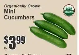 Key Food Mini Cucumbers offer