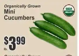 Key Food Mini Cucumbers offer