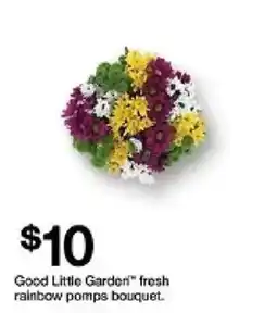 Target Good Little Garden fresh rainbow poms bouquet offer