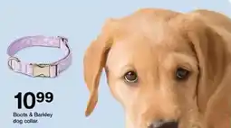 Target Boots & Barkley dog collar offer