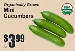SuperFresh Organically Grown Mini Cucumbers offer