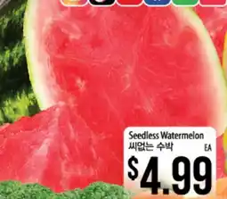 Hmart Seedless Watermelon offer