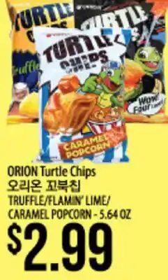 Hmart ORION Turtle Chips offer