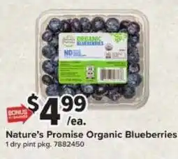 Giant Food Nature's Promise Organic Blueberries offer