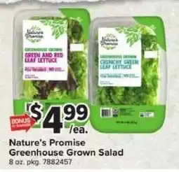 Giant Food Nature's Promise Greenhouse Grown Salad offer